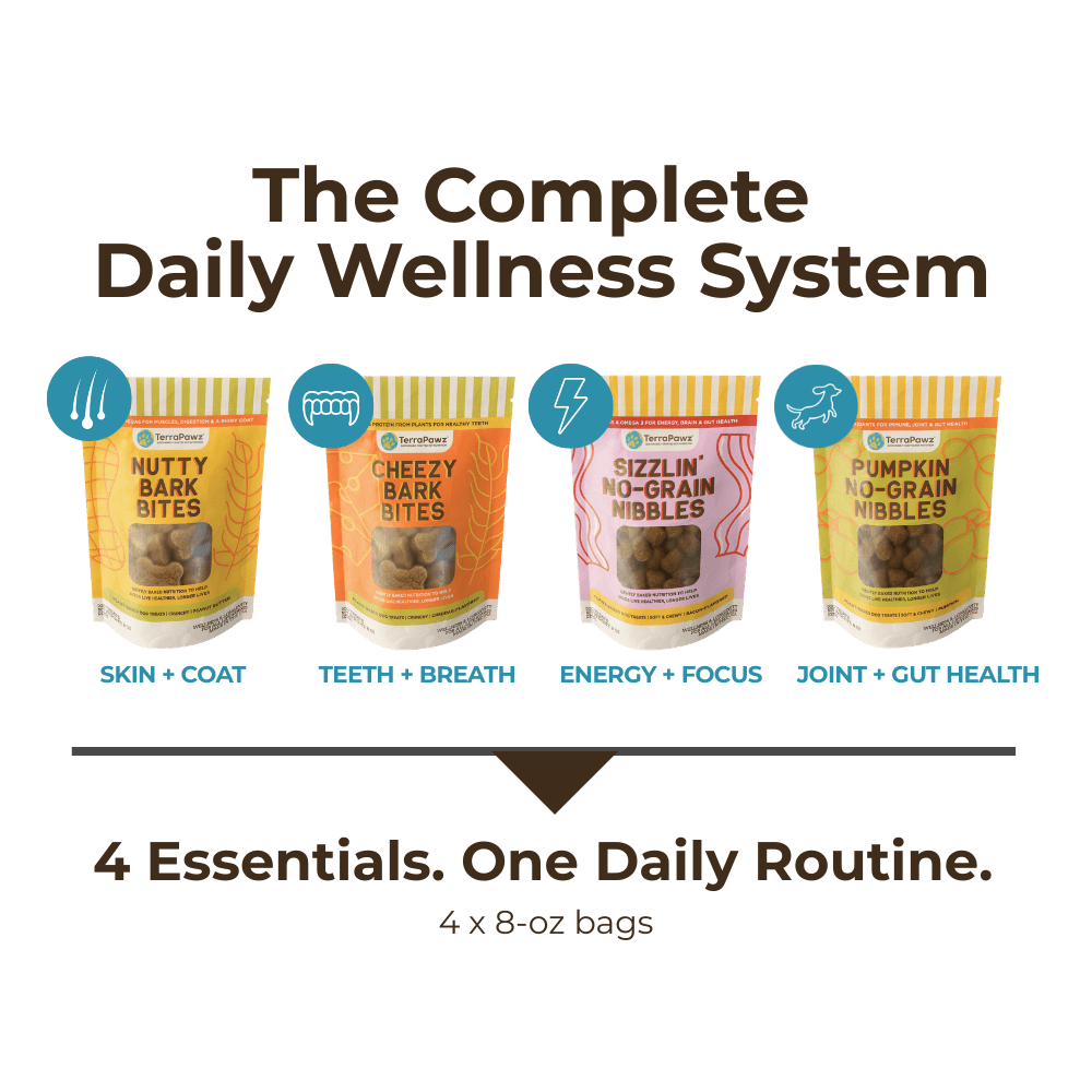 Dog food packages for a complete daily wellness system on a green background