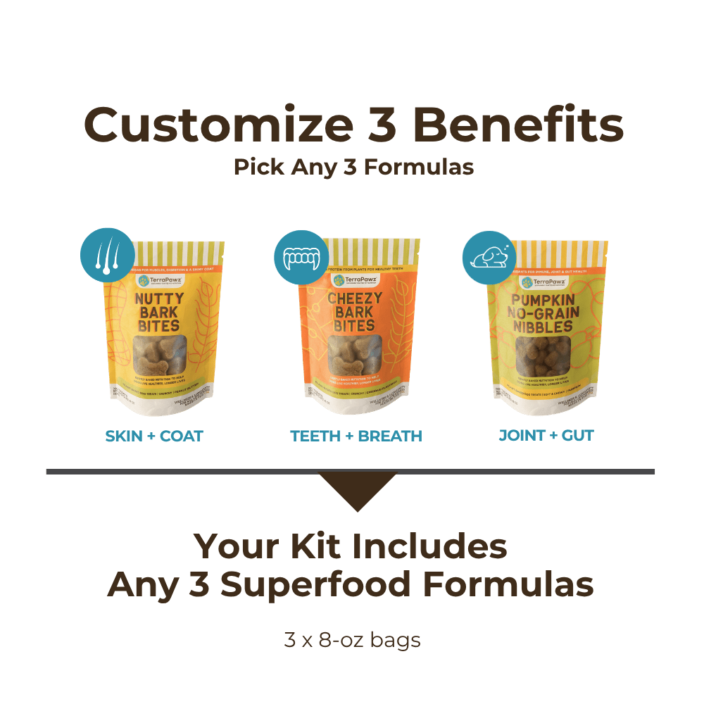 Customized Daily Treats | 3 - Pack - TerraPawz