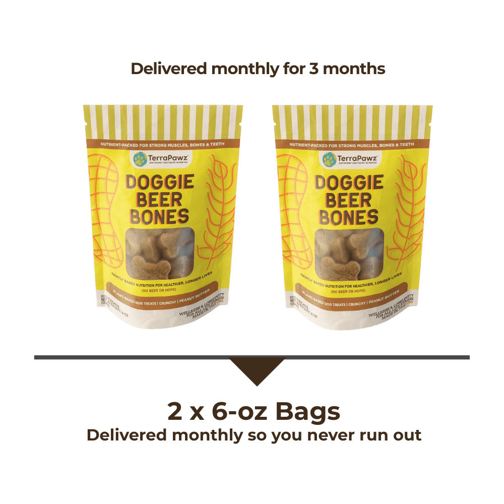 Doggie Beer Bones | 2 - Pack - TerraPawz