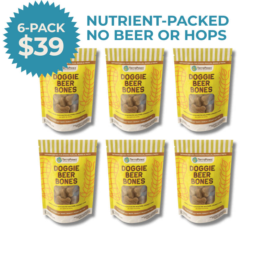 Doggie Beer Bones 6 - pack (36 - oz) - TerraPawz