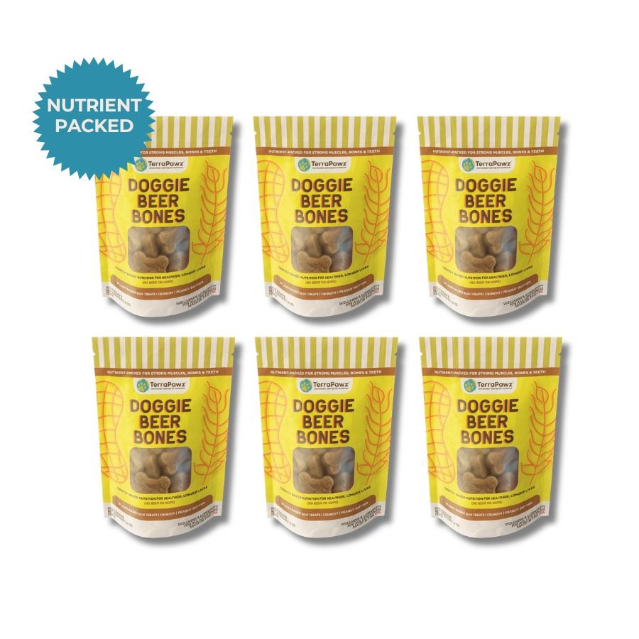 Doggie Beer Bones | 6 - pack - TerraPawz