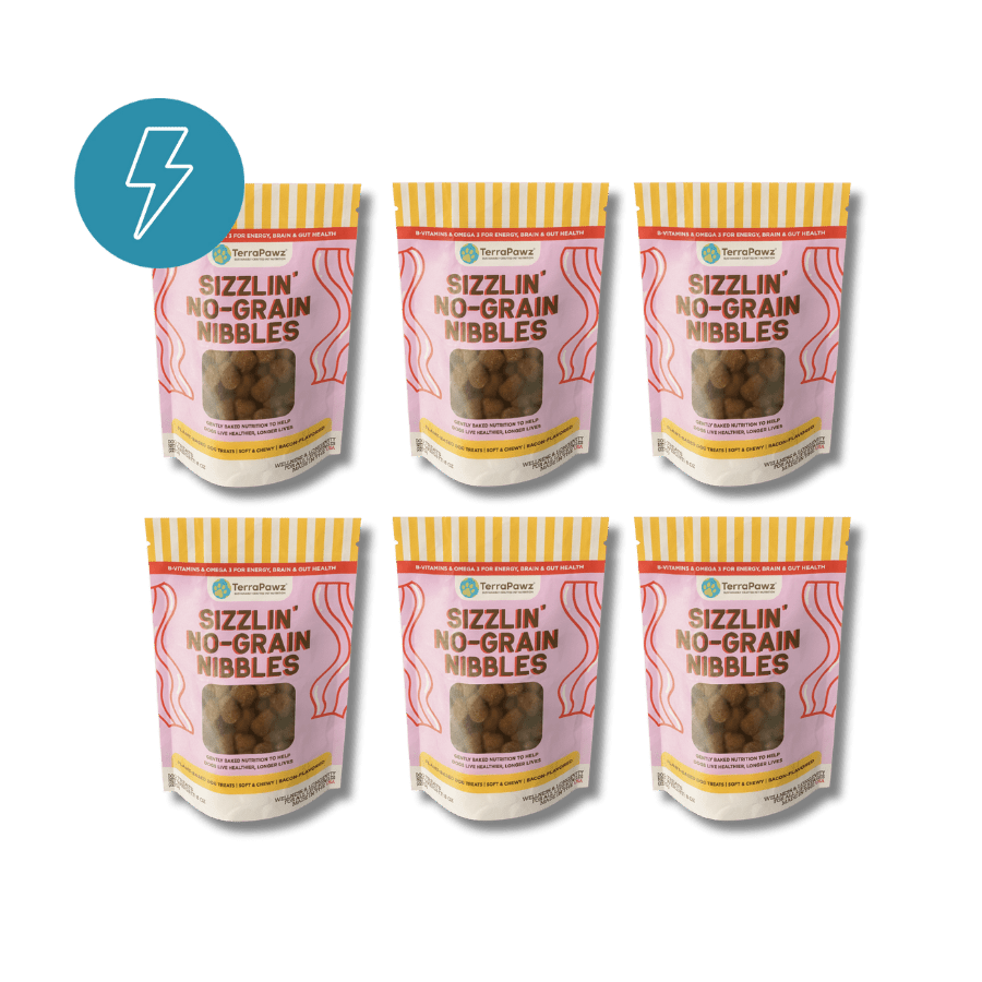 Energy + Focus | Sizzlin No - Grain Nibbles | 6 - pack - TerraPawz