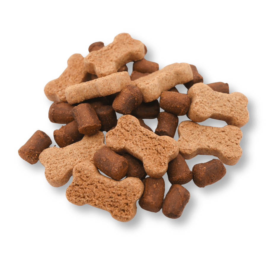 
                      
                        Flavor Feast Sampler | Daily Wellness - TerraPawz
                      
                    