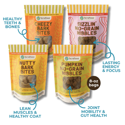 Flavor Feast Sampler | Daily Wellness - TerraPawz