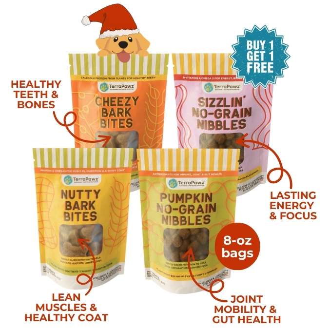 
                      
                        Flavor Feast Sampler | Daily Wellness - TerraPawz
                      
                    