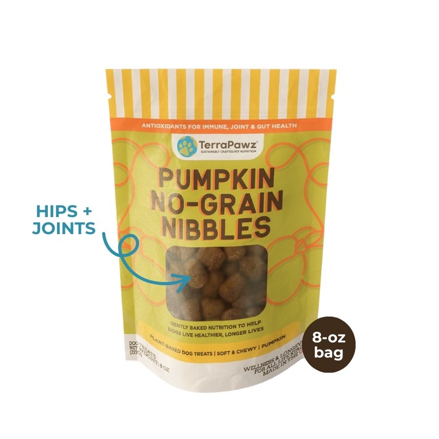 Hips + Joints | Pumpkin No - Grain Nibbles - TerraPawz