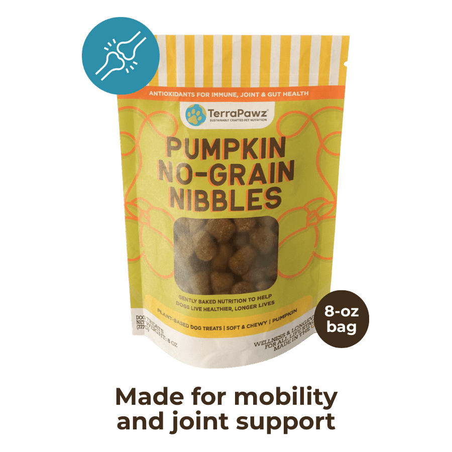 Hips + Joints | Pumpkin No - Grain Nibbles - TerraPawz