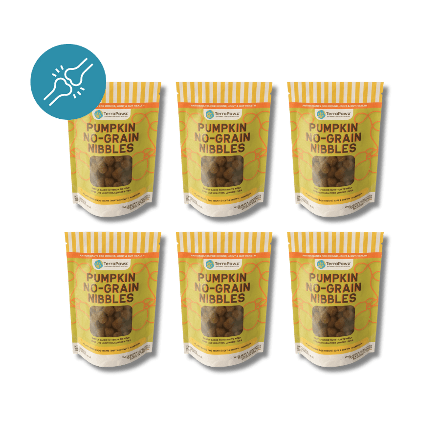 Hips + Joints | Pumpkin No - Grain Nibbles | 6 - pack - TerraPawz