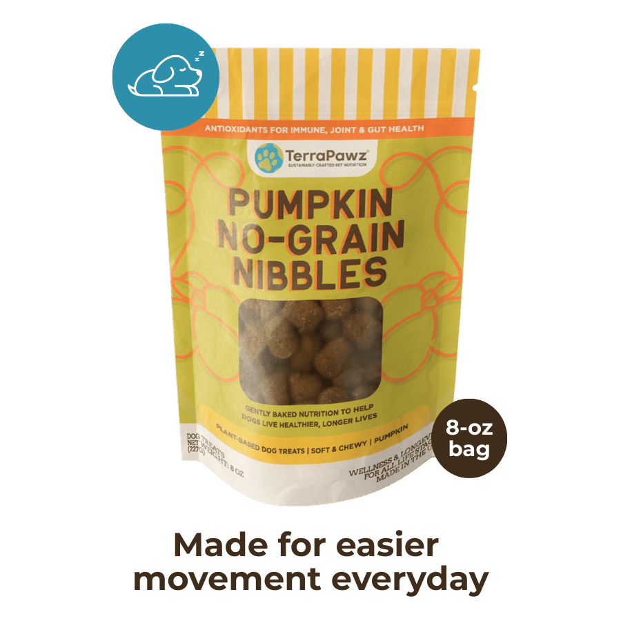 Joint + Gut | Pumpkin No - Grain Nibbles - TerraPawz