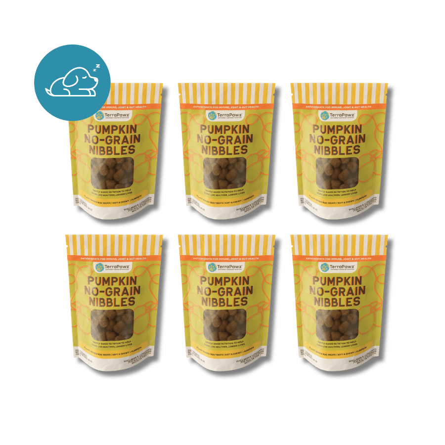 Joint + Gut | Pumpkin No - Grain Nibbles | 6 - pack - TerraPawz
