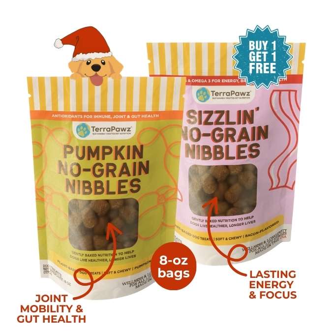 No - Grain Nibbles 2 - Pack | Chewy Functional Treats - TerraPawz