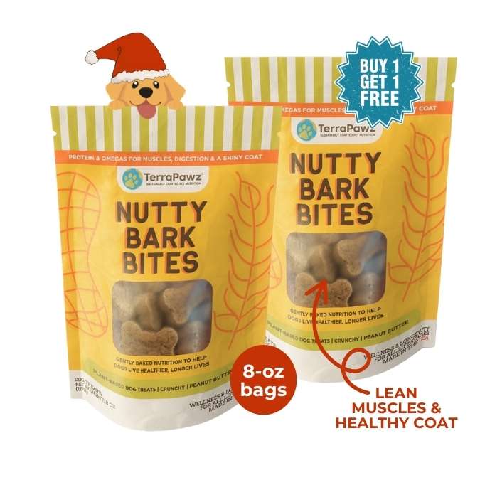 Nutty Bark Bites 2 - Pack | Lean Muscles & Healthy Coat - TerraPawz