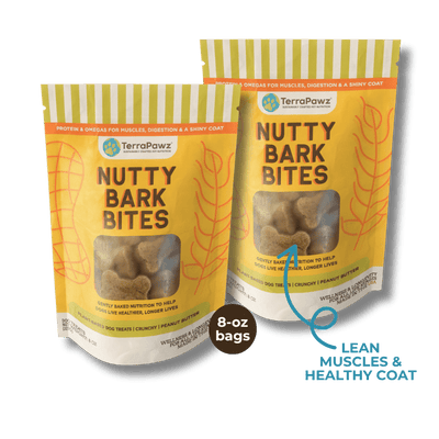 Nutty Bark Bites 2 - Pack | Lean Muscles & Healthy Coat - TerraPawz