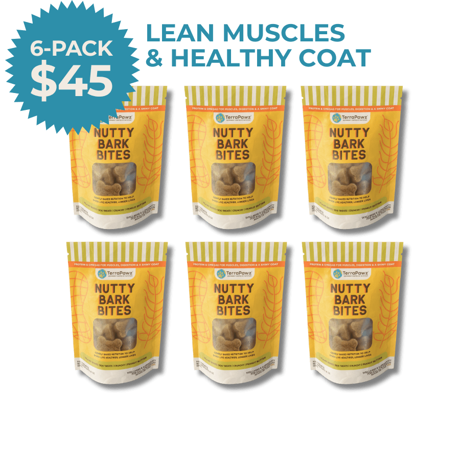 Nutty Bark Bites 6 - pack (48 - oz) - TerraPawz