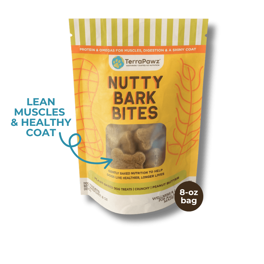 Nutty Bark Bites | Lean Muscles & Healthy Coat - TerraPawz