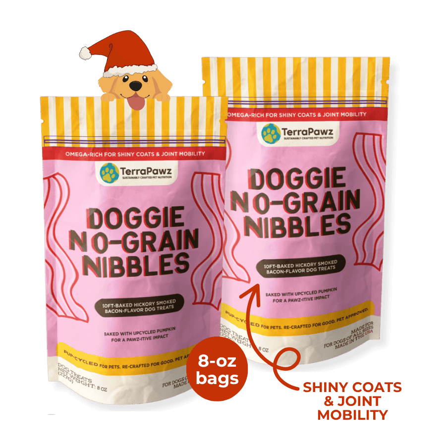 Original No - Grain Nibbles 2 - Pack | Contains Eggs - TerraPawz