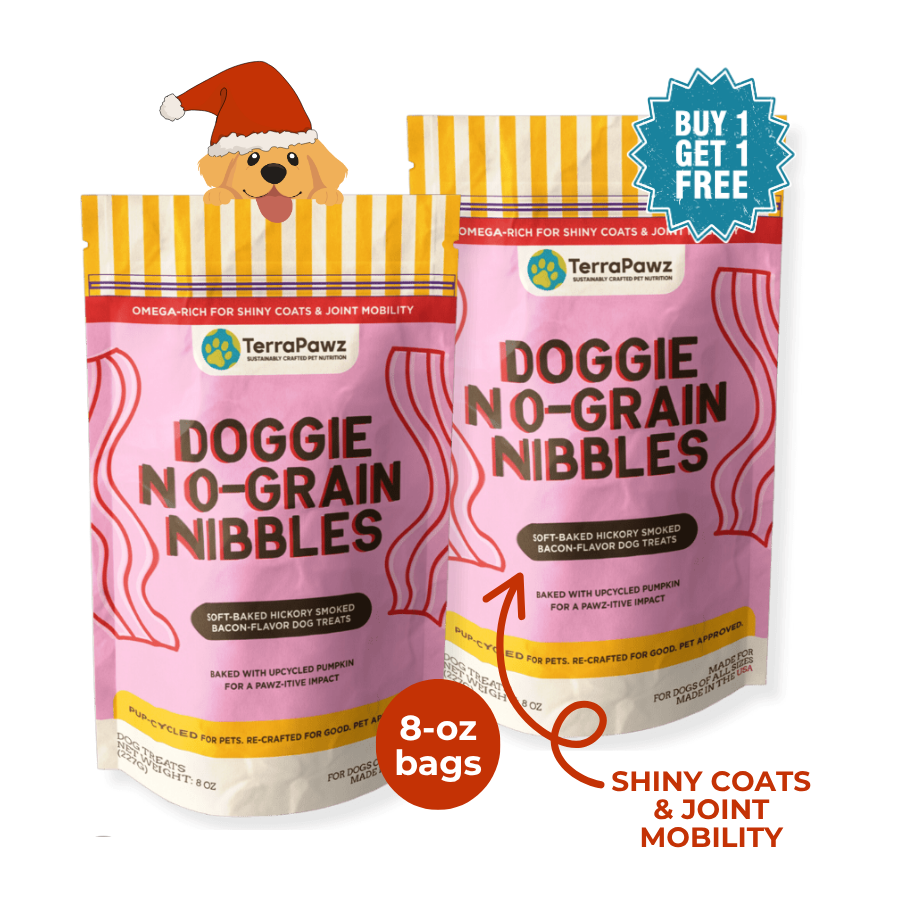 Original No - Grain Nibbles 2 - Pack | Contains Eggs - TerraPawz