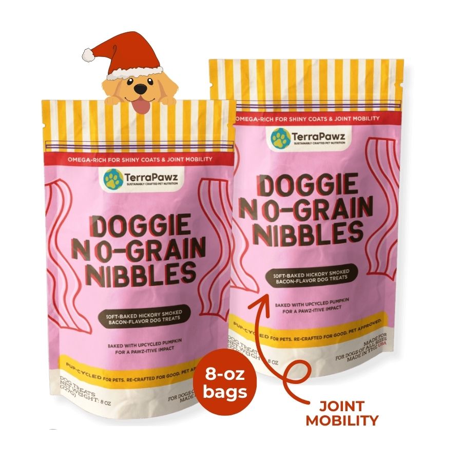 Original No - Grain Nibbles 2 - Pack | Contains Eggs - TerraPawz