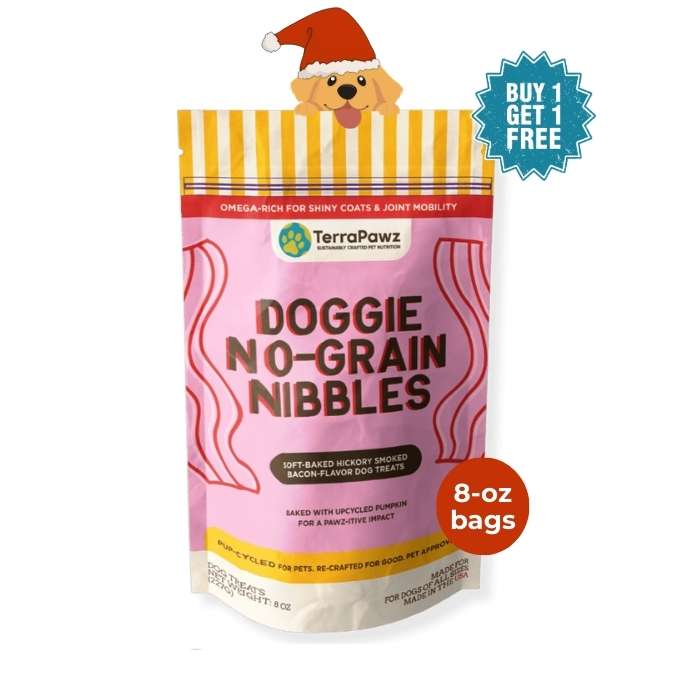 Original No - Grain Nibbles | Contains Eggs - TerraPawz