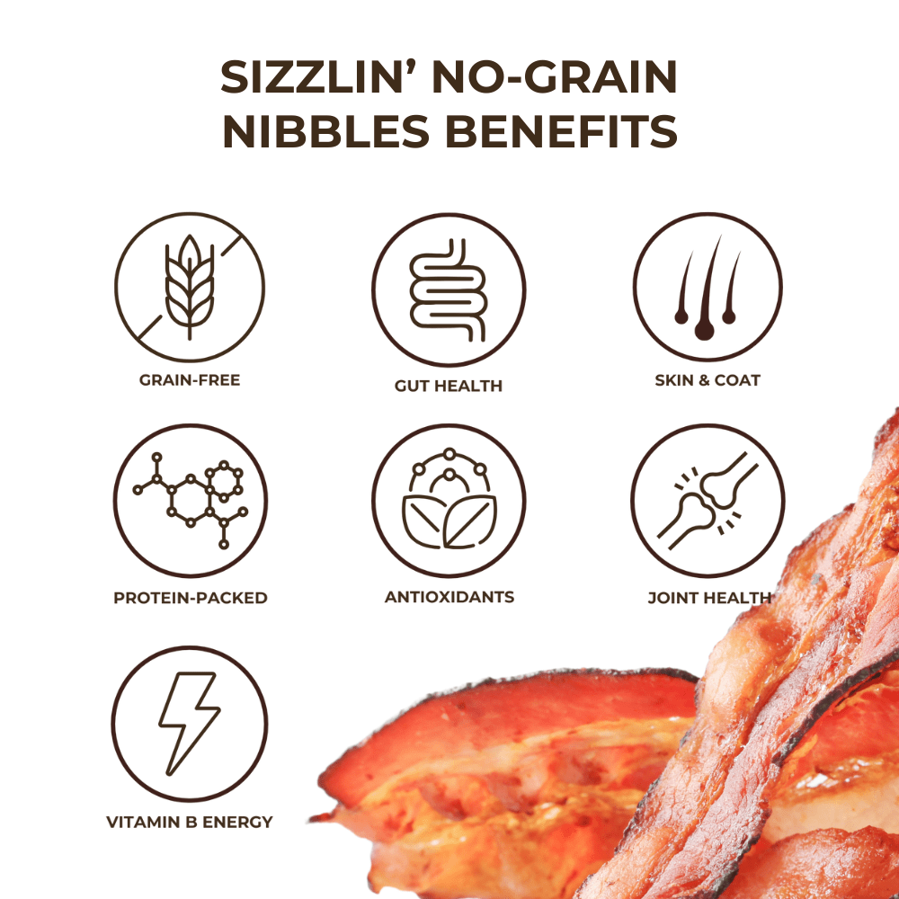 
                      
                        Original No - Grain Nibbles | Contains Eggs - TerraPawz
                      
                    