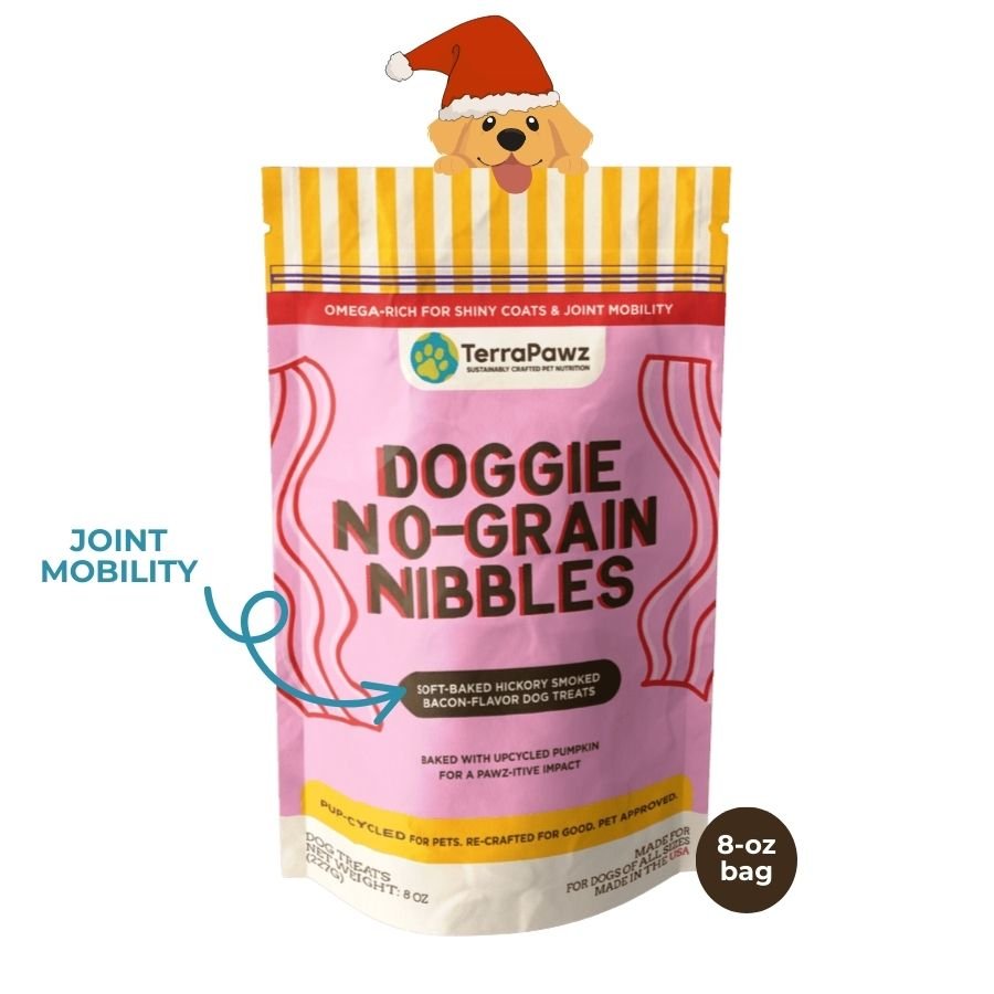 Original No - Grain Nibbles | Contains Eggs - TerraPawz