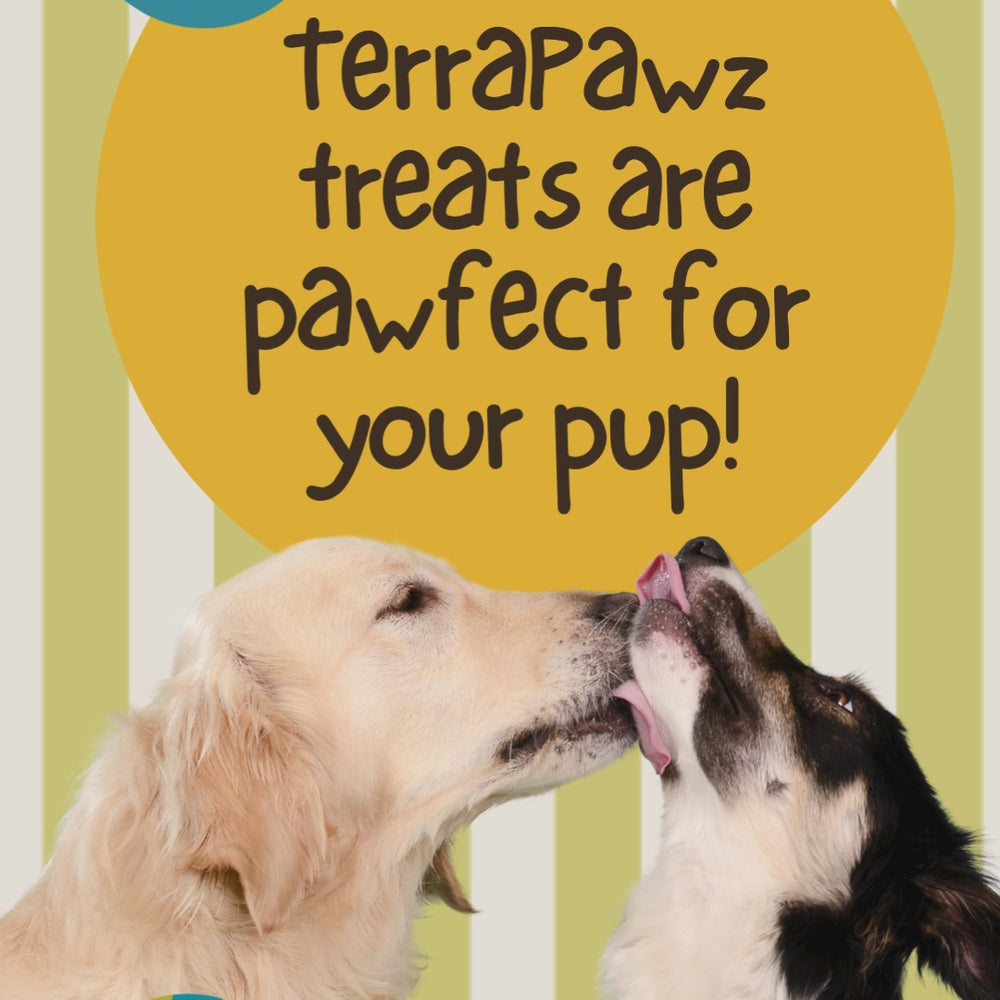 
                      
                        Load and play video in Gallery viewer, short video with 6 reasons why terrapawz treats are good for pups
                      
                    