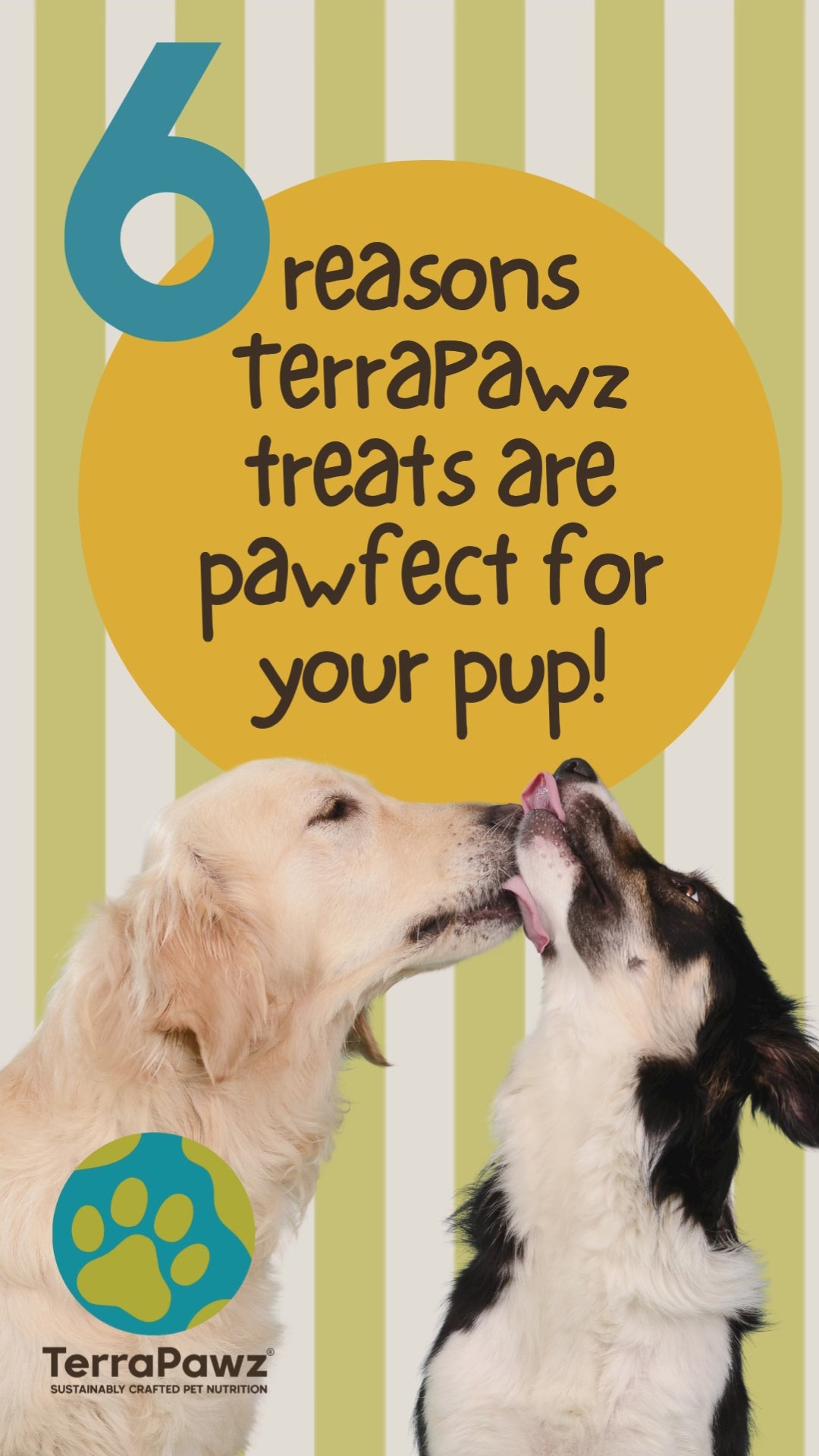 short video with 6 reasons why terrapawz treats are good for pups