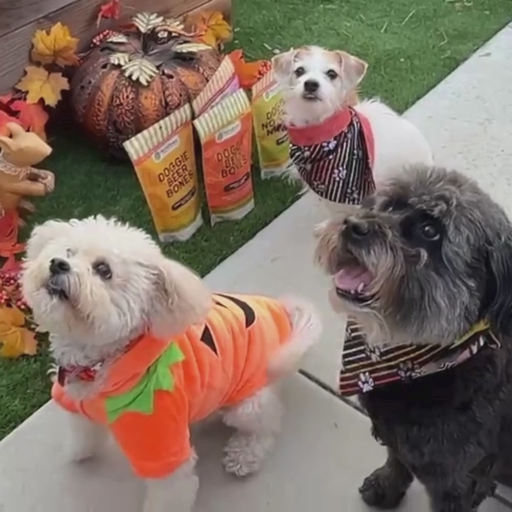 Dogs enjoying tasty TerraPawz sustainable pet treats
