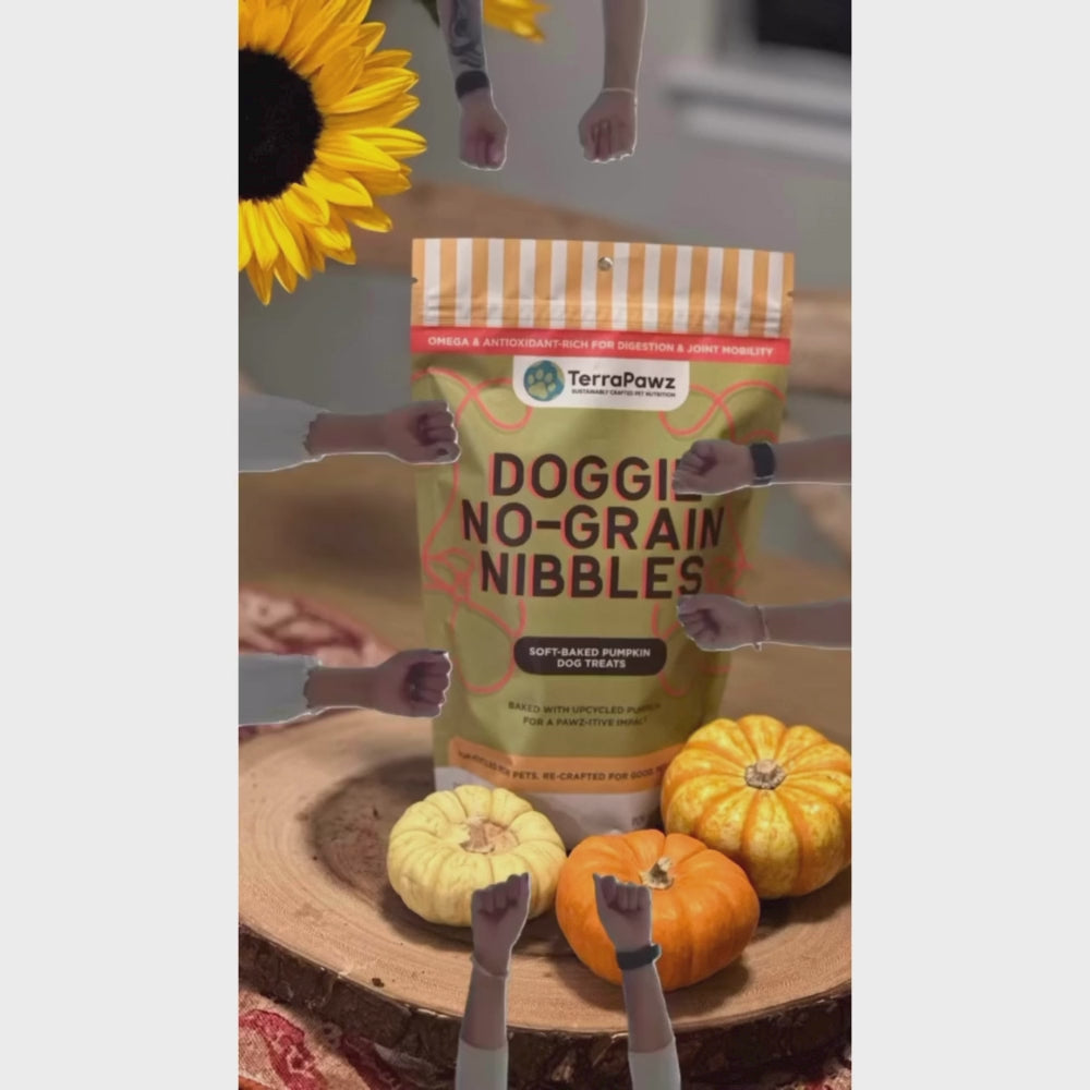 Pumpkin Doggie No-Grain Nibbles