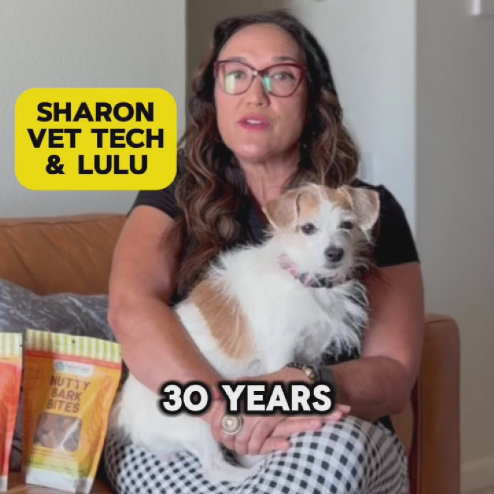 
                      
                        Load and play video in Gallery viewer, Sizzlin&amp;#39; No-Grain Nibbles 2-Pack | Lasting Energy &amp;amp; Focus
                      
                    