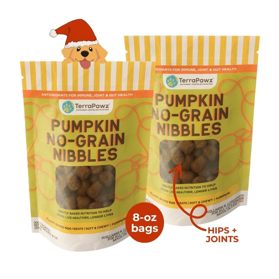 Pumpkin No - Grain Nibbles 2 - Pack | Hips + Joints - TerraPawz