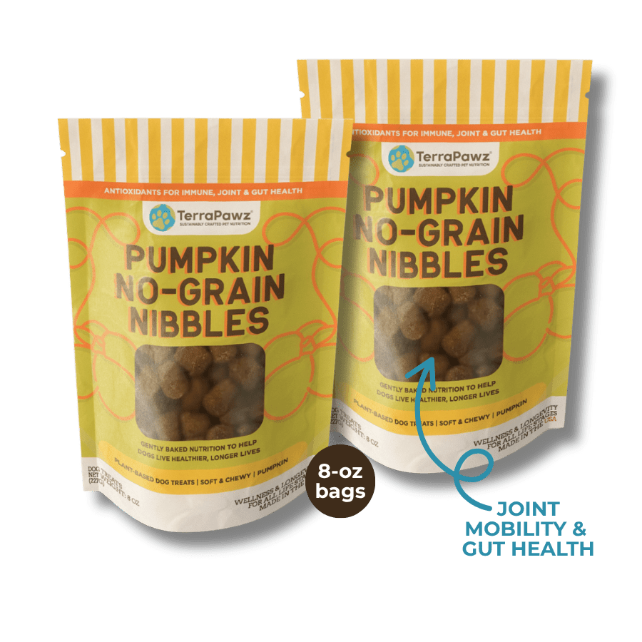 Pumpkin No - Grain Nibbles 2 - Pack | Joint Mobility & Gut Health - TerraPawz