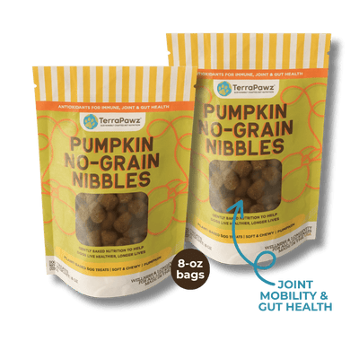 Pumpkin No - Grain Nibbles 2 - Pack | Joint Mobility & Gut Health - TerraPawz