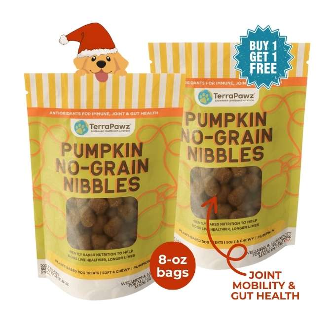 Pumpkin No - Grain Nibbles 2 - Pack | Joint Mobility & Gut Health - TerraPawz