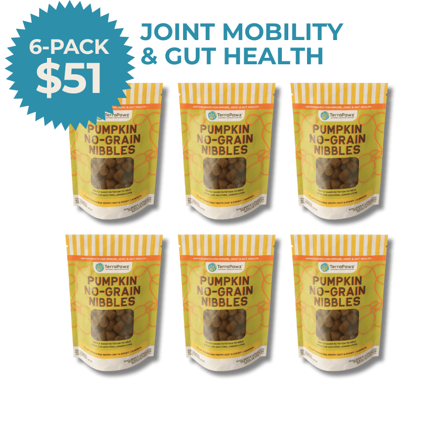 Pumpkin No - Grain Nibbles 6 - pack (48 - oz) - TerraPawz