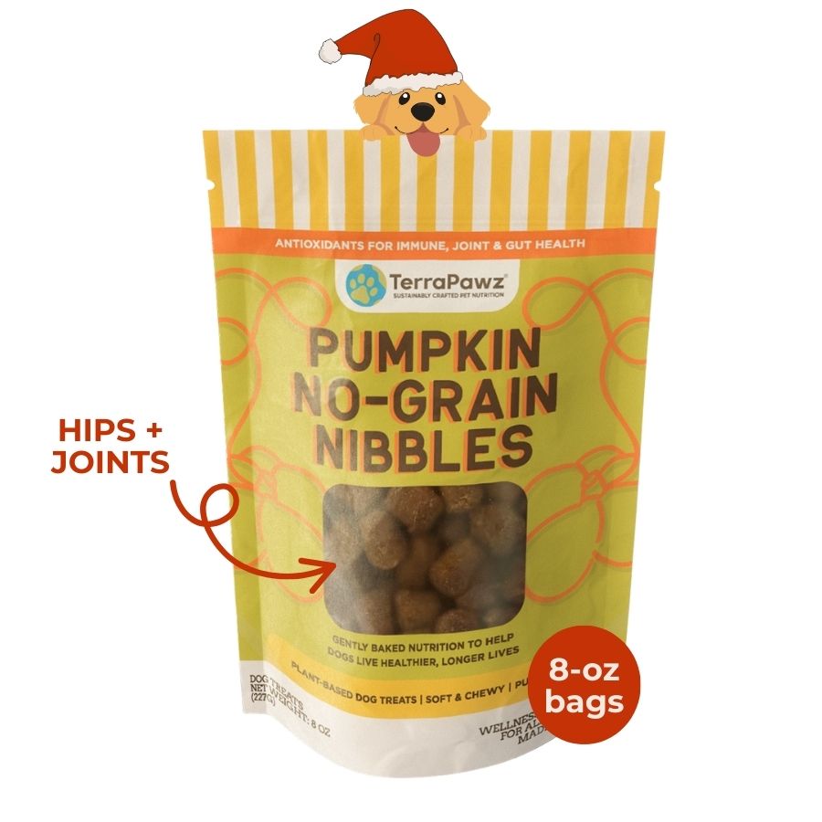 
                 
                   Pumpkin No - Grain Nibbles | Hips + Joints - TerraPawz
                 
               