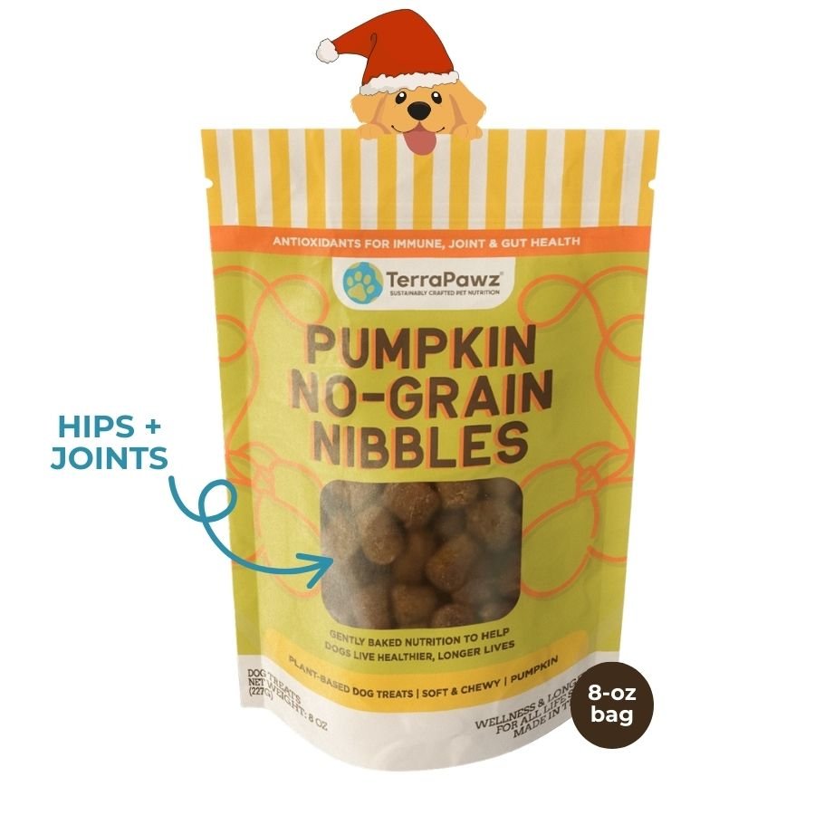 Pumpkin No - Grain Nibbles | Hips + Joints - TerraPawz