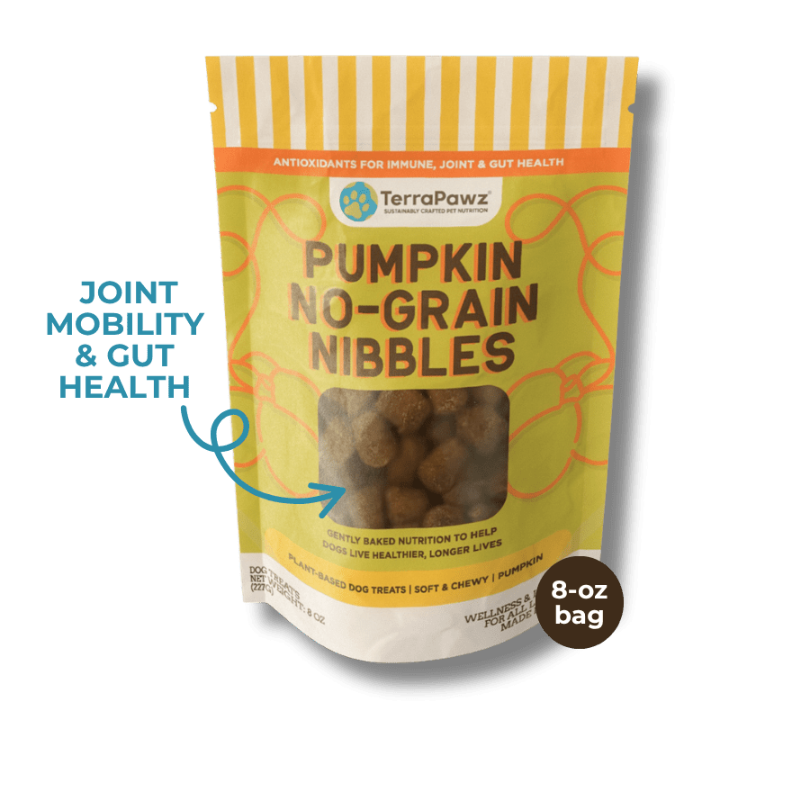 Pumpkin No - Grain Nibbles | Joint Mobility & Gut Health - TerraPawz