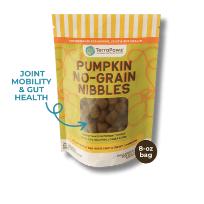 Pumpkin No - Grain Nibbles | Joint Mobility & Gut Health - TerraPawz