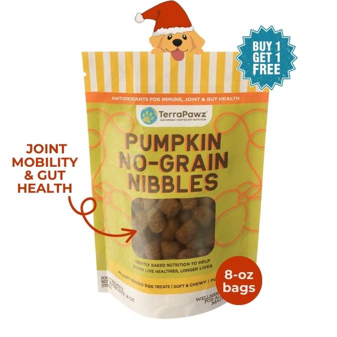 Pumpkin No - Grain Nibbles | Joint Mobility & Gut Health - TerraPawz