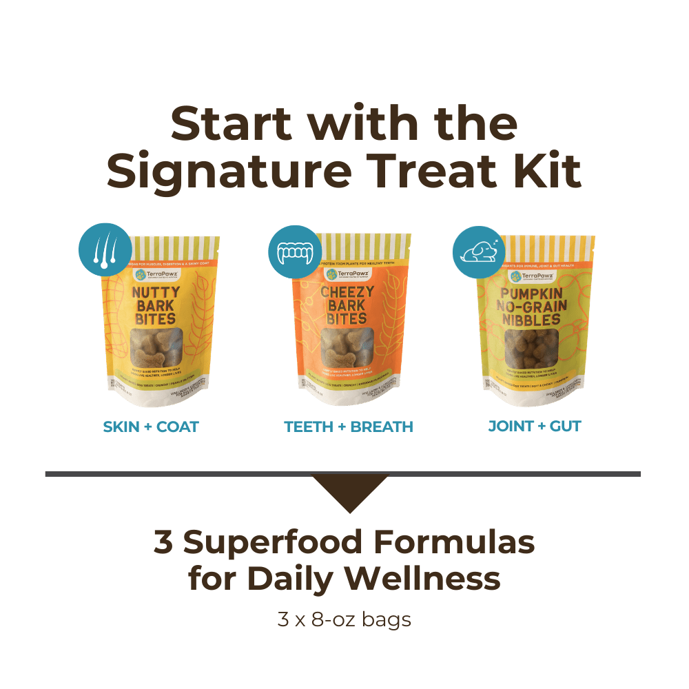 Signature Superfood Treat Kit | 3 - Pack - TerraPawz