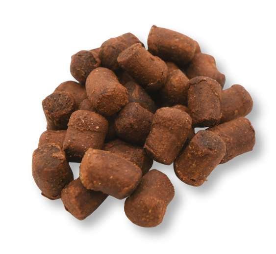 
                      
                        Sizzlin' No - Grain Nibbles 2 - Pack | Lasting Energy & Focus - TerraPawz
                      
                    