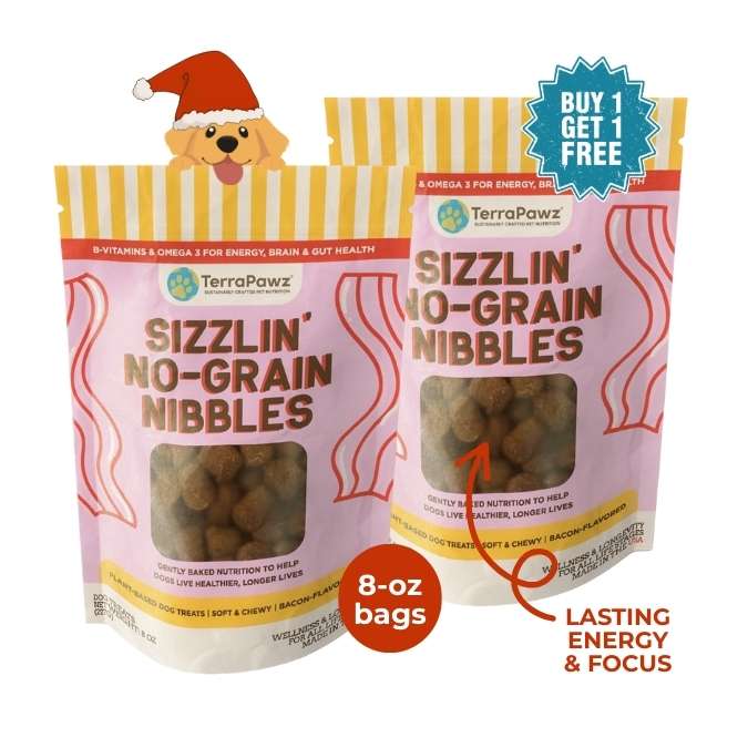 Sizzlin' No - Grain Nibbles 2 - Pack | Lasting Energy & Focus - TerraPawz