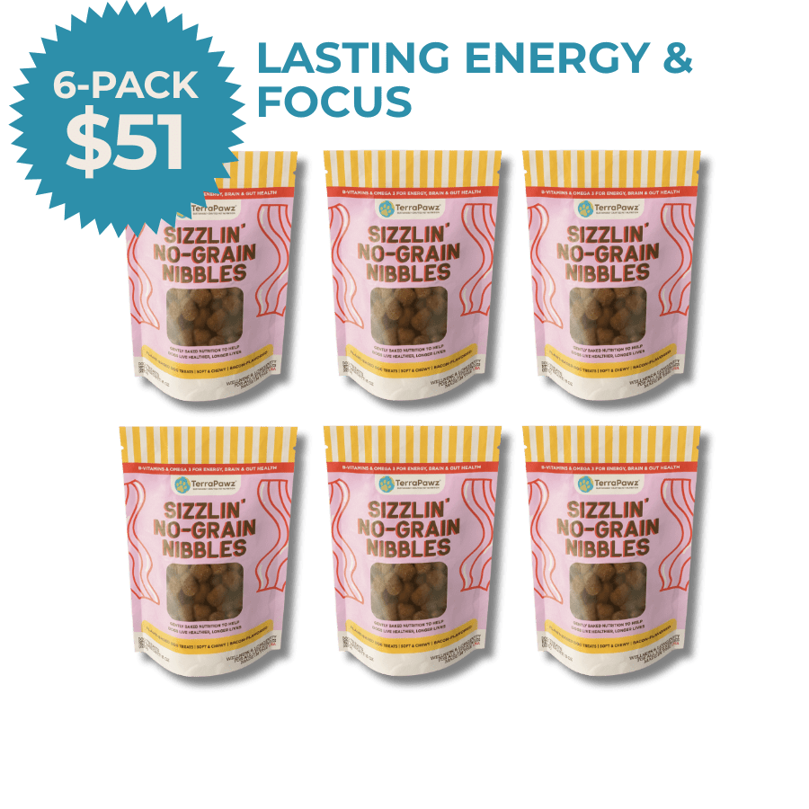 Sizzlin' No - Grain Nibbles 6 - pack (48 - oz) - TerraPawz