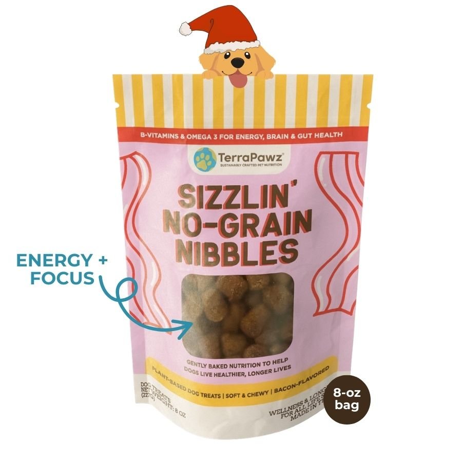 Sizzlin No - Grain Nibbles | Energy + Focus - TerraPawz