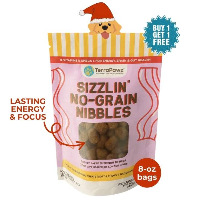 Sizzlin' No - Grain Nibbles | Lasting Energy & Focus - TerraPawz