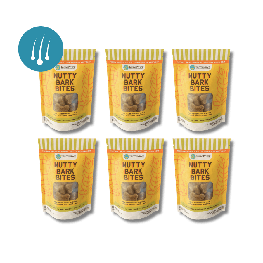 Skin + Coat | Nutty Bark Bites | 6 - pack - TerraPawz