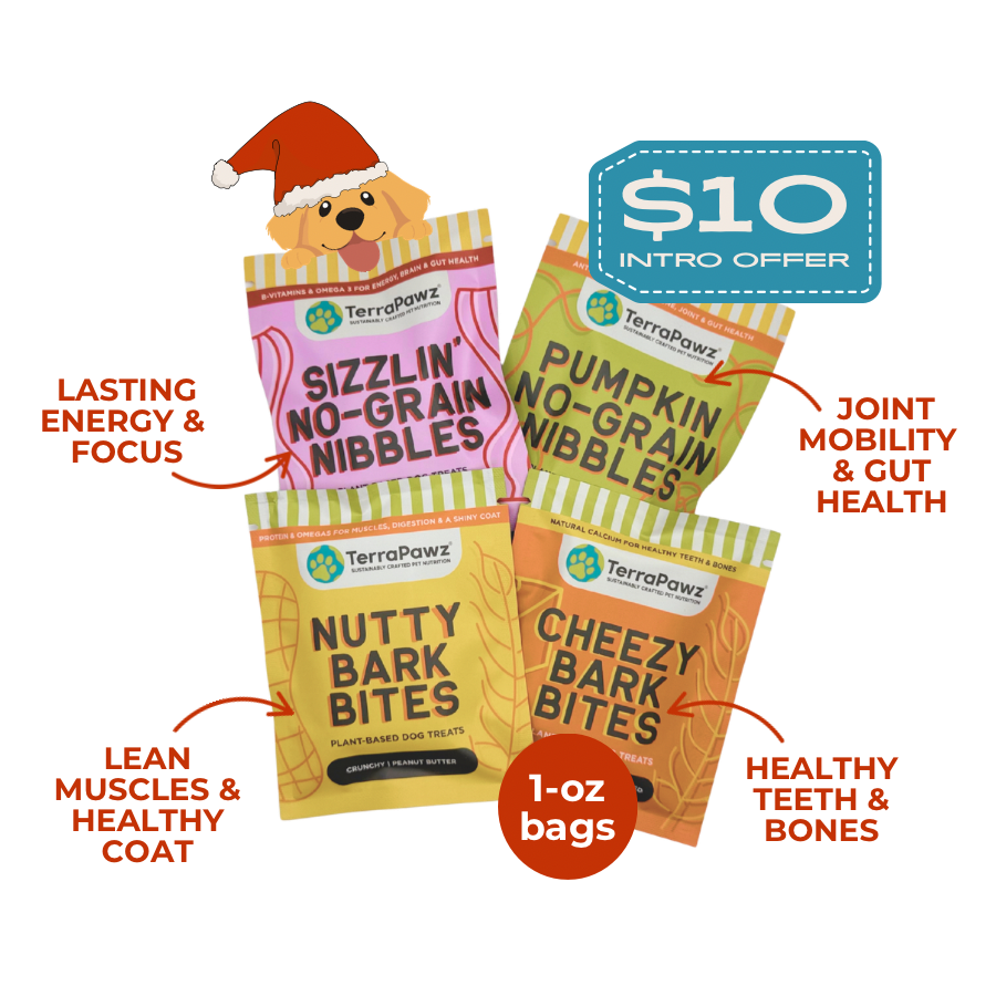 
                      
                        Tasty Bite Flight | Daily Wellness - TerraPawz
                      
                    